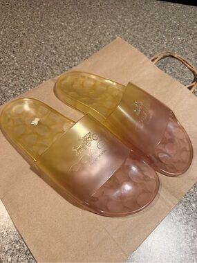 Coach Ombre Jelly Slide Sandals